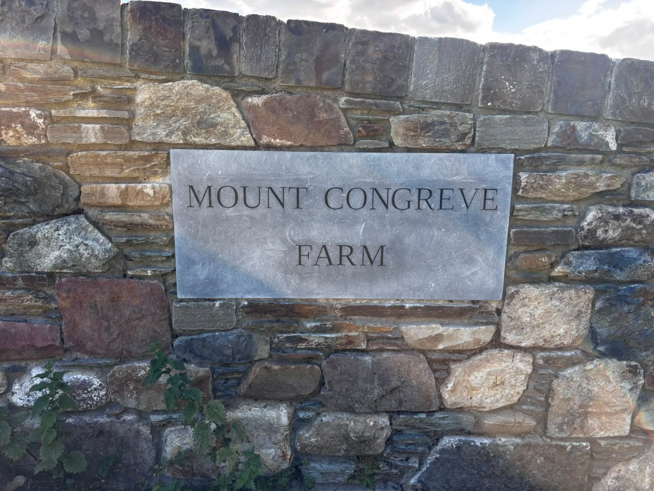 Engraved limestone Mount Congreve Farm sign set into a traditional Irish stone wall