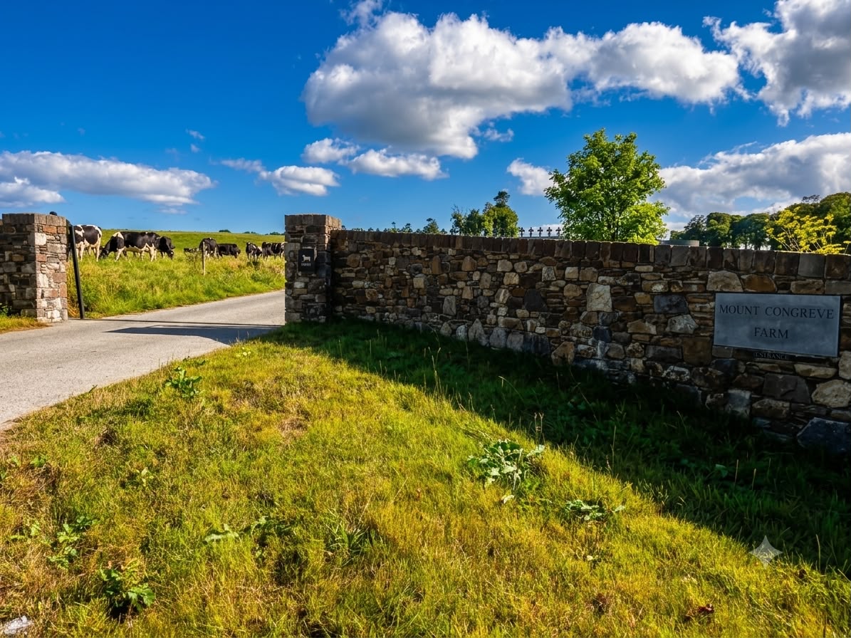 Stone-walled entrance to Mount Congreve Farm with dairy cows grazing beyond the gate